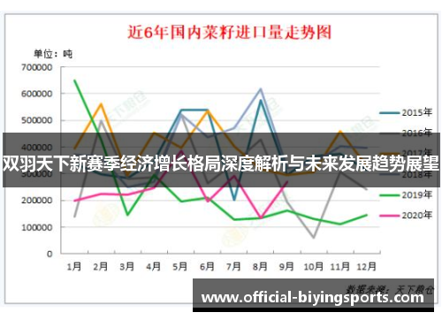 双羽天下新赛季经济增长格局深度解析与未来发展趋势展望